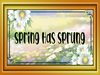 RECTANGLE SHAPED Digital Graphic Design SPRING HAS SPRUNG Sublimation PNG SVG Lake House Sign Farmhouse Country Home Cabin Bedroom Wall Art Decor Gift Crafters Delight
