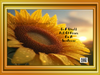 DIGITAL RECTANGLE Graphic Design IN A WORLD FULL OF ROSES BE A SUNFLOWER - PNG SVG JPEG PDF Lake House Sign Farmhouse Country Cabin Wall Art Shelf Sitter Home Decor Gift Crafters Delight - JAMsCraftCloset