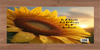 DIGITAL RECTANGLE Graphic Design IN A WORLD FULL OF ROSES BE A SUNFLOWER - PNG SVG JPEG PDF Lake House Sign Farmhouse Country Cabin Wall Art Shelf Sitter Home Decor Gift Crafters Delight - JAMsCraftCloset