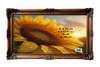 DIGITAL RECTANGLE Graphic Design IN A WORLD FULL OF ROSES BE A SUNFLOWER - PNG SVG JPEG PDF Lake House Sign Farmhouse Country Cabin Wall Art Shelf Sitter Home Decor Gift Crafters Delight - JAMsCraftCloset