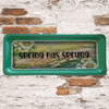 TRAY GREEN Plastic Rectangle Decoupaged Hand Painted Upcycled Repurposed Wall Art SPRING HAS SPRUNG Home Decor Decor Wall Art Gift - JAMsCraftCloset
