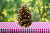 CHRISTMAS TREE Large Pine Cone With Bling Handmade Sparkly Christmas Holiday Winter Decoration Home Decor Shelf Sitter Gift Idea Unique - JAMsCraftCloset