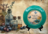 PLATE CHARGER TEAL AQUA PLASTIC ROUND DECOUPAGED Upcycled Repurposed Wall Art or Shelf Sitter YOU GIVE ME ENDLESS BUTTERFLIES Home Decor Wall Art Gift WEDDING - JAMsCraftCloset