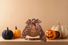 Dollar Tree Bowl Handmade Fall PUMPKIN Fireplace Mantel or Hearth, Shelf, Counter, Table Centerpiece Decor Unique Christmas Holiday Decoration Gift Idea {{ JAMsCraftCloset }}