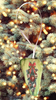 Antique West Virginia Roof Decoupaged Christmas Ornament - CHRISTMAS SWAG - Handmade Holiday Tree Decor Unique Country Farmhouse House Decor Gift - JAMsCraftCloset