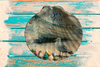 LARGE SCALLOP SEASHELL Aqua Teal LET THE SEA SET YOU FREE- BEACH COASTAL DECOR Wall Art Handmade Hand Painted DECOUPAGED Repurposed Upcycled Gift - JAMsCraftCloset