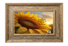 DIGITAL RECTANGLE Graphic Design IN A WORLD FULL OF ROSES BE A SUNFLOWER - PNG SVG JPEG PDF Lake House Sign Farmhouse Country Cabin Wall Art Shelf Sitter Home Decor Gift Crafters Delight - JAMsCraftCloset