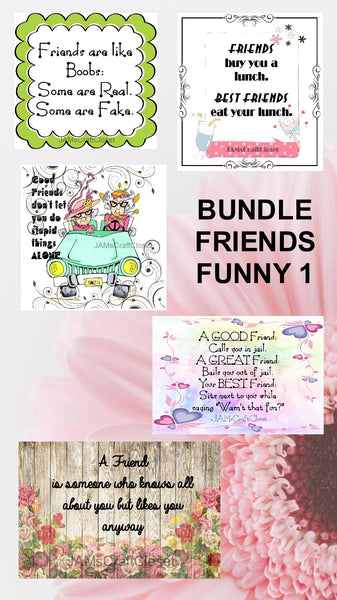 BUNDLE FRIENDS FUNNY 1 Graphic Design Downloads SVG PNG JPEG Files Sublimation Design Crafters Delight   My digital SVG, PNG and JPEG Graphic downloads for the creative crafter are graphic files for those that use the Sublimation or Waterslide techniques - JAMsCraftCloset