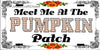 License Vanity Plate Front Plate Clever Funny Custom Plate Car Tag MEET ME AT THE PUMPKIN PATCH Sublimation on Metal Gift Idea - JAMsCraftCloset