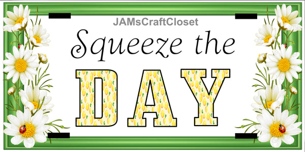 Digital Graphic Design SVG-PNG-JPEG Download SQUEEZE THE DAY Positive Saying Crafters Delight - JAMsCraftCloset