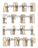 ALPHABET SET Digital Graphic Design Typography Clipart SVG-PNG Sublimation SCARECROW PUMPKINS ORANGE CHECKERED Design Download Crafters Delight - JAMsCraftCloset