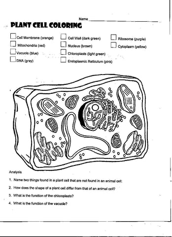 FREE Coloring Pages Science Style 11