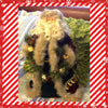 Santa Vintage Burgundy and Green Standing 17 Inches Tall With Pinecone and Snowflake Garland {{ JAMsCraftCloset }}