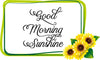 GOOD MORNING SUNSHINE - DIGITAL GRAPHICS  This file contains 4 graphics...  My digital PNG and JPEG Graphic downloads for the creative crafter are graphic files for those that use the Sublimation or Waterslide techniques - JAMsCraftCloset