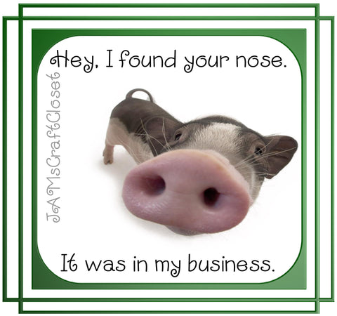 HEY I FOUND YOUR NOSE - DIGITAL GRAPHICS  My digital SVG, PNG and JPEG Graphic downloads for the creative crafter are graphic files for those that use the Sublimation or Waterslide techniques - JAMsCraftCloset