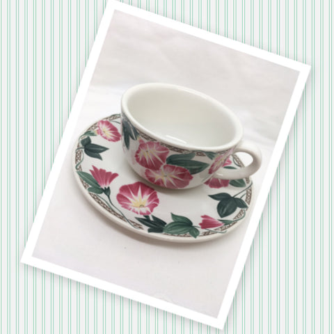 Cup and Saucer Morning Glory Design Cafe Classico By Nancy Calhoun Japan