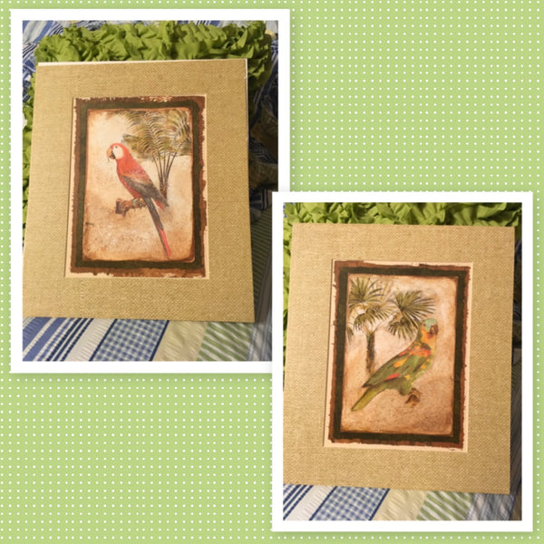 Print Matted PARROTS Wall Art NO FRAME SET of TWO Gift Idea Wall Hanging Home Decor