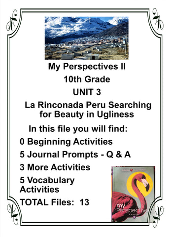 My Perspectives English II 10th Grade UNIT 3  La Rinconada Peru Searching for Beauty in Ugliness Teacher Resource Lesson Supplemental Activities - JAMsCraftCloset