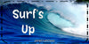 License Plate Digital Graphic Design Download SURFS UP SVG-PNG-JPEG Sublimation Crafters Delight - JAMsCraftCloset