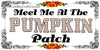 License Vanity Plate Front Plate Clever Funny Custom Plate Car Tag MEET ME AT THE PUMPKIN PATCH Sublimation on Metal Gift Idea - JAMsCraftCloset
