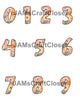 NUMBER SETS Digital Graphic Design Typography Clipart SVG-PNG Sublimation GROOVY FLORAL PATTERN Design Download Crafters Delight - JAMsCraftCloset
