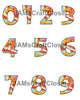 NUMBER SETS Digital Graphic Design Typography Clipart SVG-PNG Sublimation PSYCHEDELIC 6 Design Download Crafters Delight - JAMsCraftCloset
