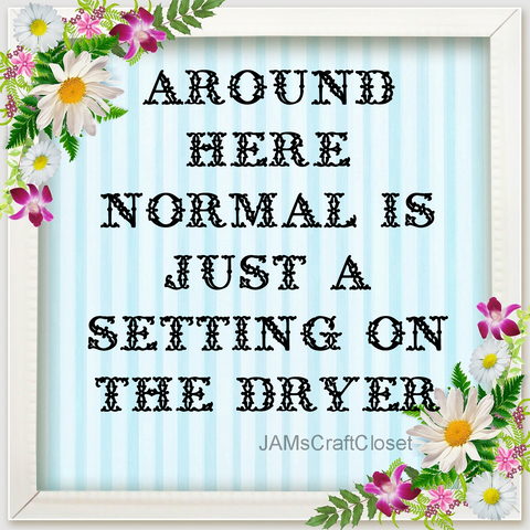 NORMAL SETTING ON THE DRYER - DIGITAL GRAPHICS  This file contains 4 graphics..  My digital PNG and JPEG Graphic downloads for the creative crafter are graphic files for those that use the Sublimation or Waterslide techniques - JAMsCraftCloset