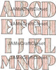 ALPHABET SET Digital Graphic Design Typography Clipart SVG-PNG Sublimation PINK AND WHITE BARNWOOD Design Download Crafters Delight - JAMsCraftCloset