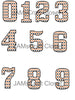 NUMBER SETS Digital Graphic Design Typography Clipart SVG-PNG Sublimation PUMPKINS Design Download Crafters Delight - JAMsCraftCloset