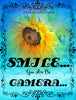 Digital Graphic Design SVG-PNG-JPEG Download SMILE YOU ARE ON CAMERA 1 Crafters Delight - JAMsCraftCloset