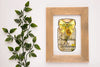 Digital Graphic Design Canning Jar SVG-PNG-JPEG Download Positive Saying Welcome Wall Art SUNFLOWER WELCOME Crafters Delight - DIGITAL GRAPHICS - JAMsCraftCloset