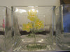 Container Floral Glass Hand Painted Square Choice of 4  Purple Pink Yellow or Blue - JAMsCraftCloset