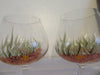 Stemware Sniffers Hand Painted Beach SMALL Glass With A Starfish Accent  SET OF 4 - JAMsCraftCloset
